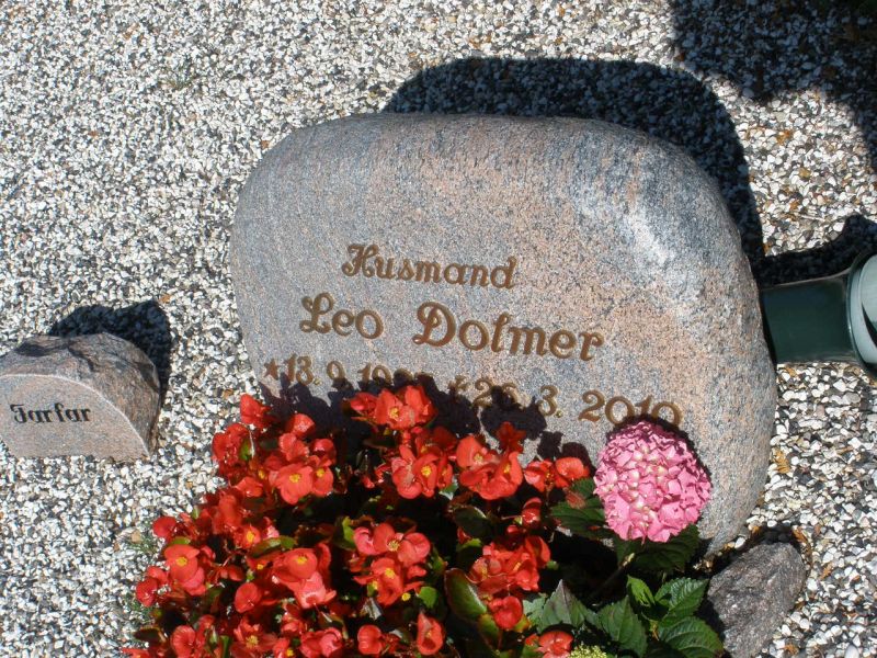 Leo Dolmer.JPG